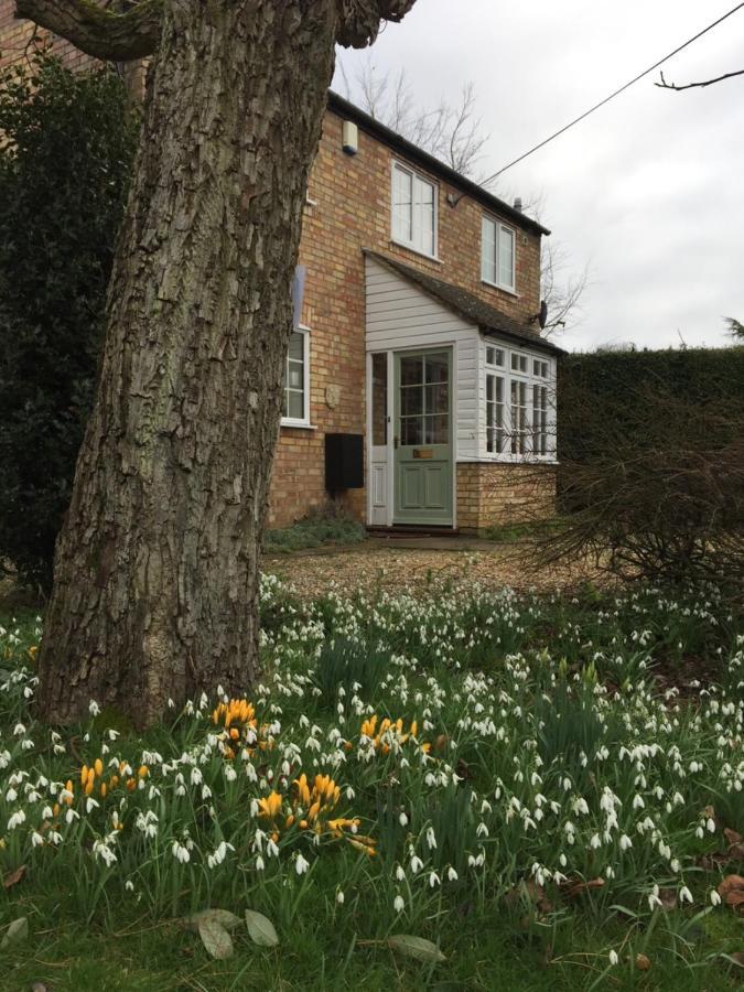 Beech View Cottage ダウンハム・マーケット エクステリア 写真